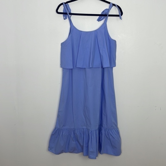 Blue Sleeveless Ruffle Dress - Picture 8 of 8